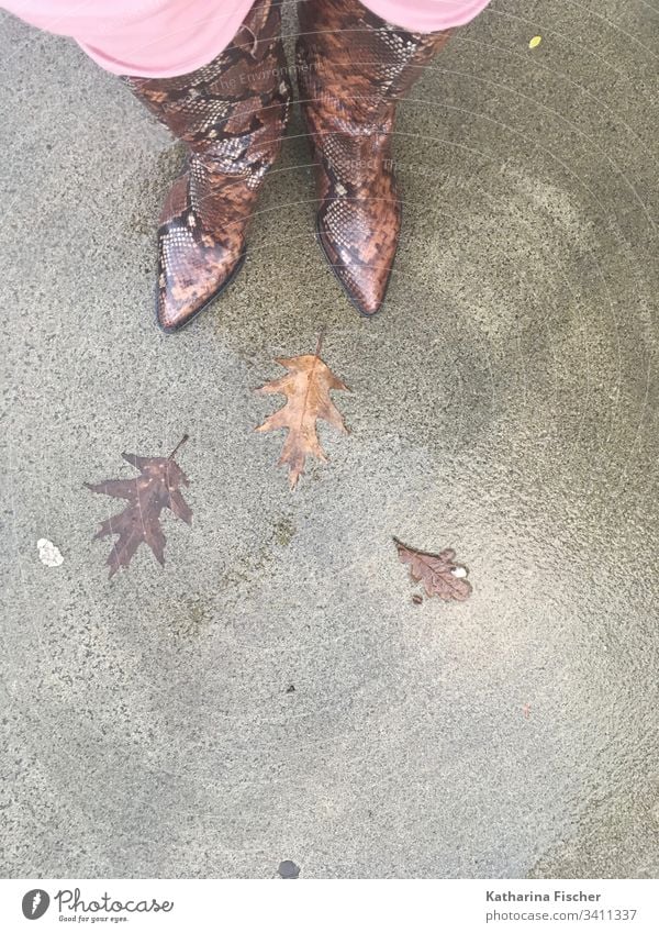 Stiefel Schlangenlook Herbst - Blätter Schlangenleder Schlangen-Look Asphalt Vogelperspektive Schuhe Außenaufnahme Beine stehen braun gefleckt rosa beige