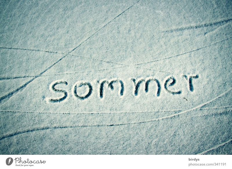 ohne Worte Sommer Winter Schnee Schriftzeichen ästhetisch außergewöhnlich einzigartig weiß Sehnsucht kalt Umwelt Linie schwungvoll Klimawandel Eis Farbfoto