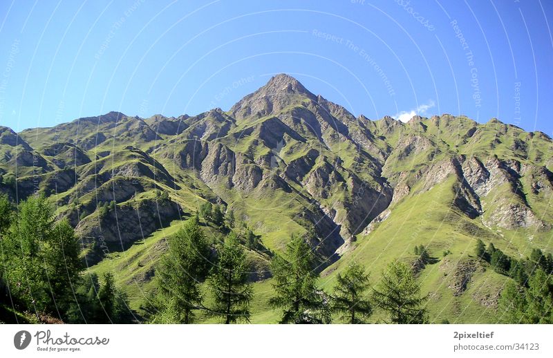 Painted Mountain grün braun Baum Berge u. Gebirge gemahlt blau hoch Alpen