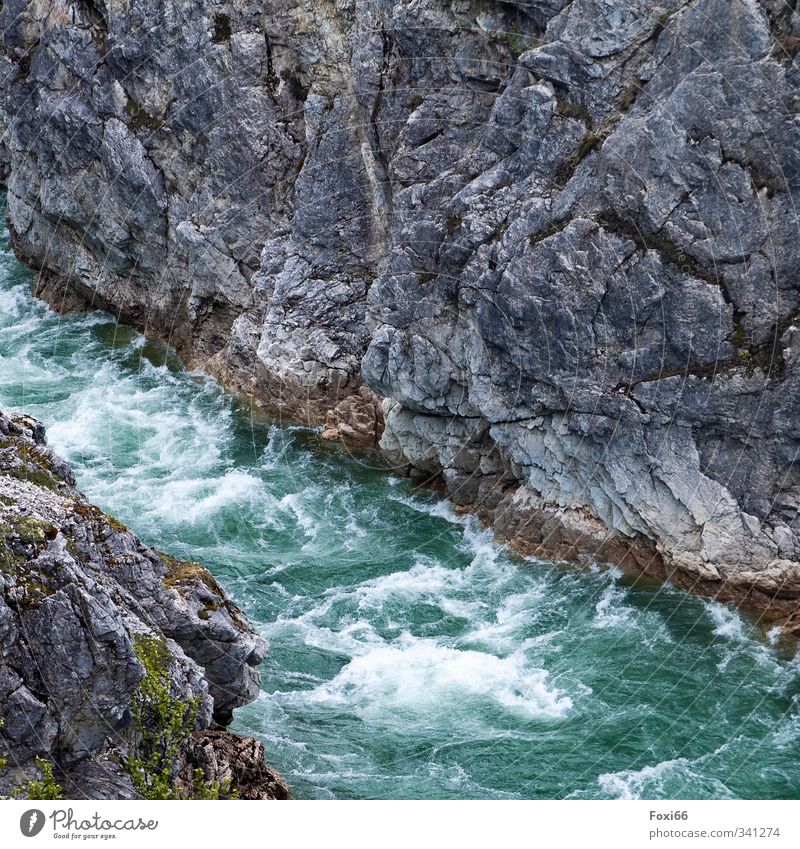 Wildwasser Natur Urelemente Luft Wasser Sommer Klimawandel "Flechten Moos" Berge u. Gebirge Fjord Schlucht Stein bedrohlich fest Flüssigkeit frisch kalt
