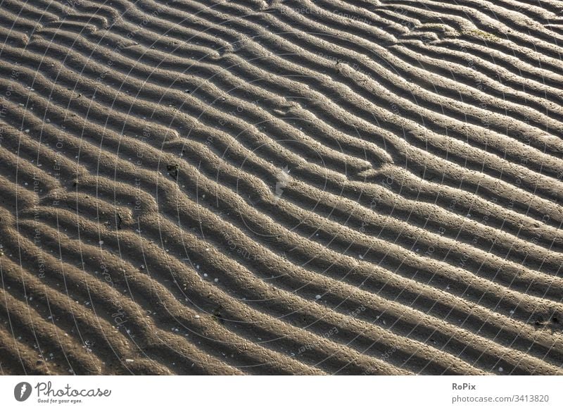 Muster im Watt am Abend. Strand beach Küste Meer sea Sandstrand Muscheln Ostsee Ozean Urlaub Küstenwanderung Erholung Ruhe Entspannung Strandurlaub