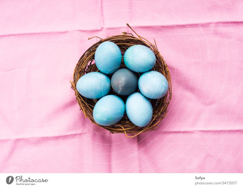 Bunte blaue gekochte Ostereier im Nest auf rosa Ostern Hintergrund farbenfroh Pastell oben Glück hart Pute jagen sehr wenige Ornament rustikal Gruß Saison