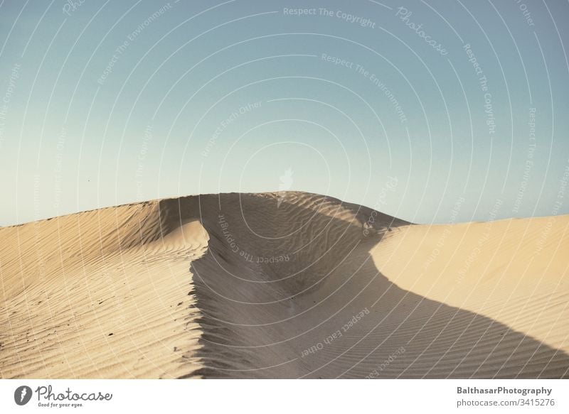 Sanddüne in Essaouira Düne sanddüne Sonnenlicht Landschaft Natur Außenaufnahme Ferien & Urlaub & Reisen trocken Menschenleer Tag Afrika Marokko Schatten Sahara
