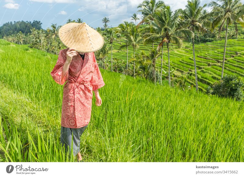 Entspannte, modische, kaukasische Frau mit rotem Kimono im asiatischen Stil und traditionellem asiatischen Reisfeldhut, die zwischen wunderschönen grünen Reisfeldern und Terrassen auf der Insel Bali spazieren geht