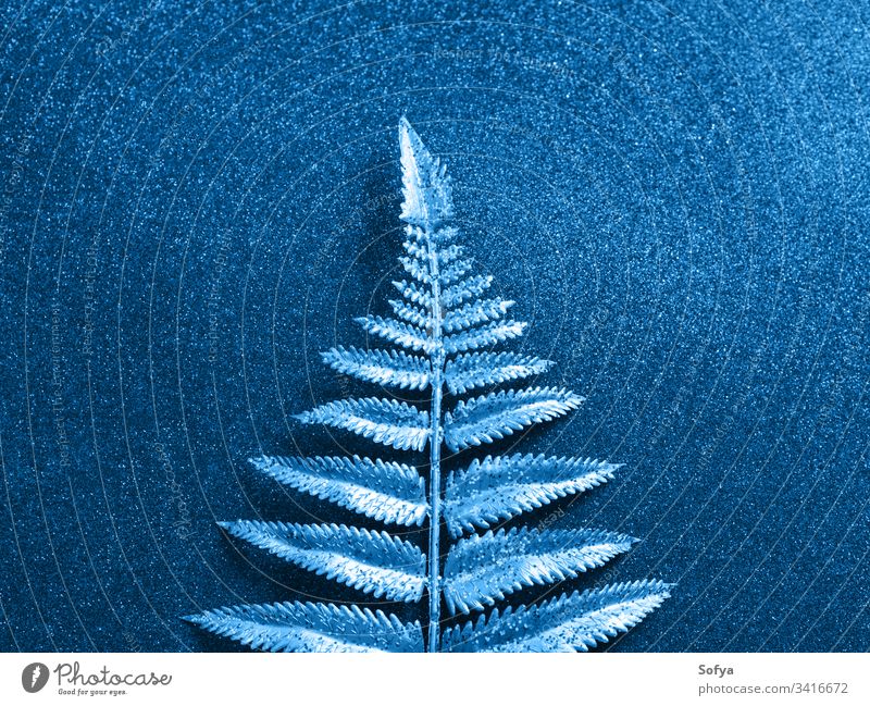 Glitzerndes klassisches Blau glänzender Hintergrund mit Zweig Glitter blau Weihnachten Ast golden Silber tropisch Pflanze Marine Winter kalt Schnee abstrakt