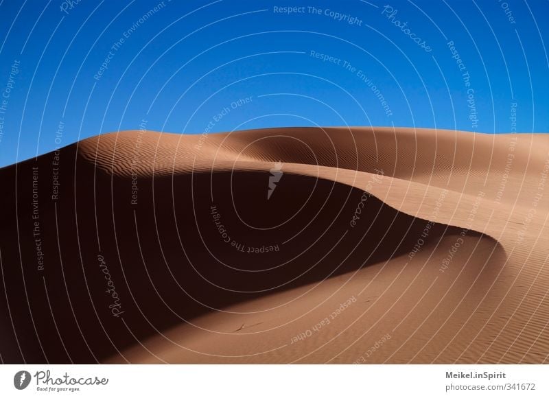 Sahara Natur Landschaft Wolkenloser Himmel Schönes Wetter Wärme Dürre Wüste Stranddüne Sand heiß trocken Einsamkeit Ferien & Urlaub & Reisen karg Schattenspiel