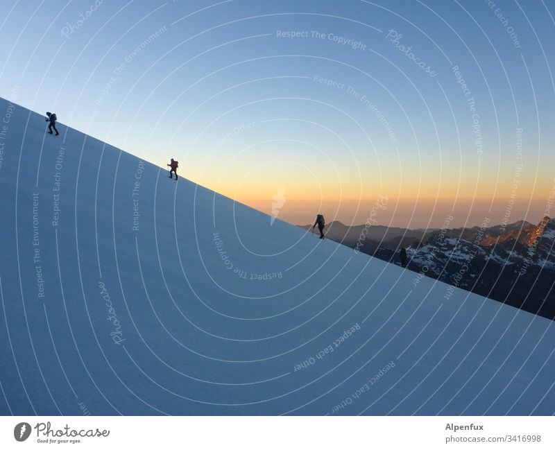 Seilschaft | gerade schräg Gletscher Morgen Sonnenaufgang Berge u. Gebirge Schweiz Bergsteigen Bergsteiger Abenteuer Erfolg Schnee Tatkraft Außenaufnahme Alpen