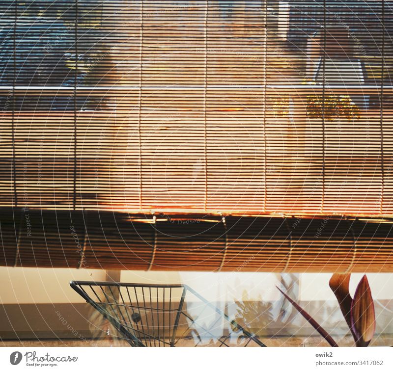 Diskrete Blicke Jalousie Bambusrollo Rollo Fenster Glas Fensterscheibe Durchblick Aussicht Detail Detailaufnahme Lamellen dünn durchsichtig durchscheinend