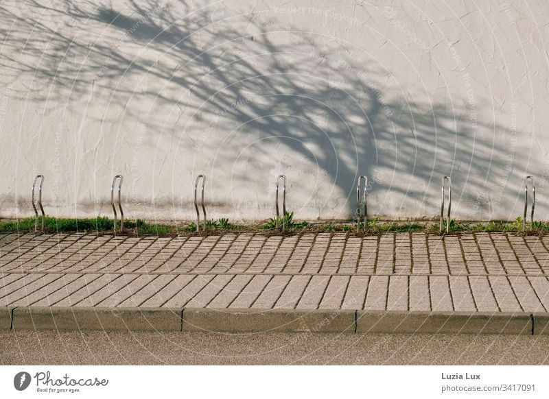 Fahrradständer, dahinter der Schatten eines Baumes Lifestyle Freizeit & Hobby Spielen Sport Stadt Gebäude Mauer Wand Beton oben braun grün Farbfoto