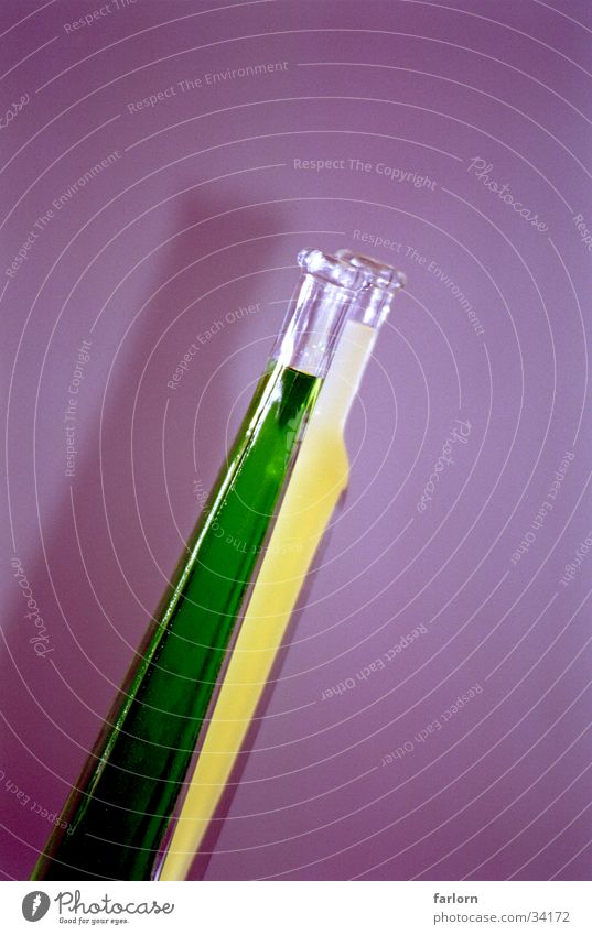 flaschenpaar grün gelb Likör violett Häusliches Leben Flasche verrückt Alkohol