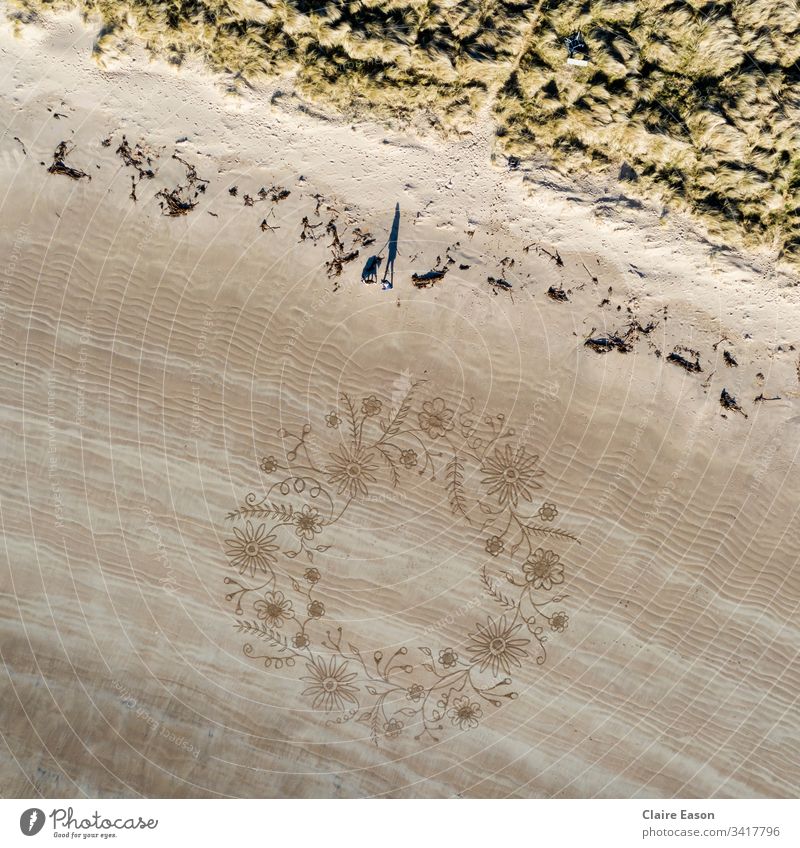Eine riesige Sandkunst-Blumengirlande mit einem Hundespaziergangsschatten als Maßstab. großer Umfang Riese geblümt Strand Küstenstreifen Natur Umwelt