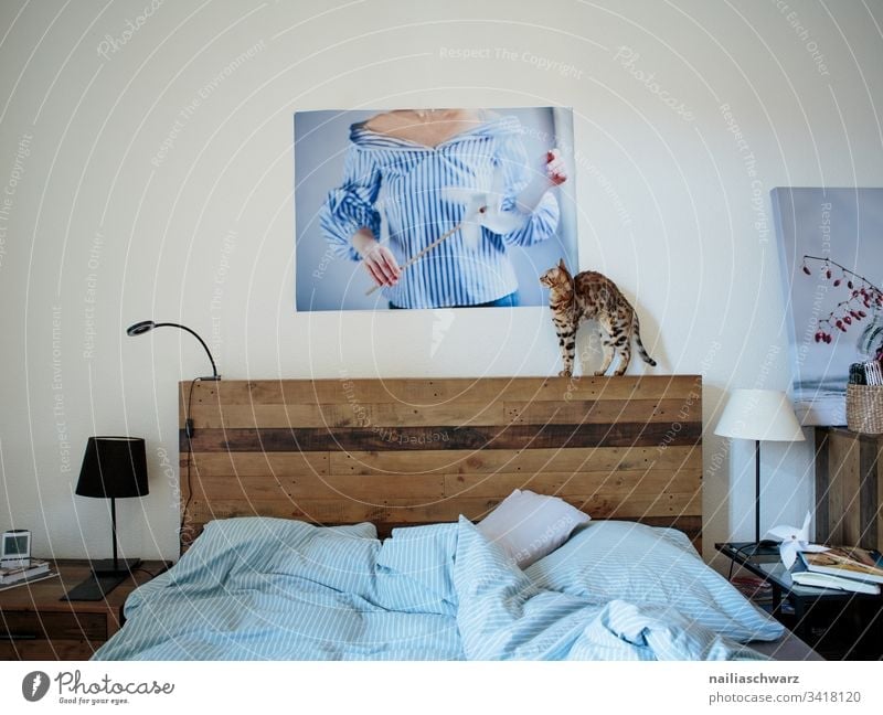 Schlafzimmer Bett Bettwäsche Katze bengal Katze Bild Lampenschirm blau grau Wohnung zuhause Ruhe Nachttisch