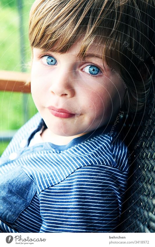reinheitsgebot | kinderaugen Junge niedlich frech Kind Kindheit blaue augen intensiv anschauen Porträt Kontrast Sohn Lächeln Neugier freundlich Liebe