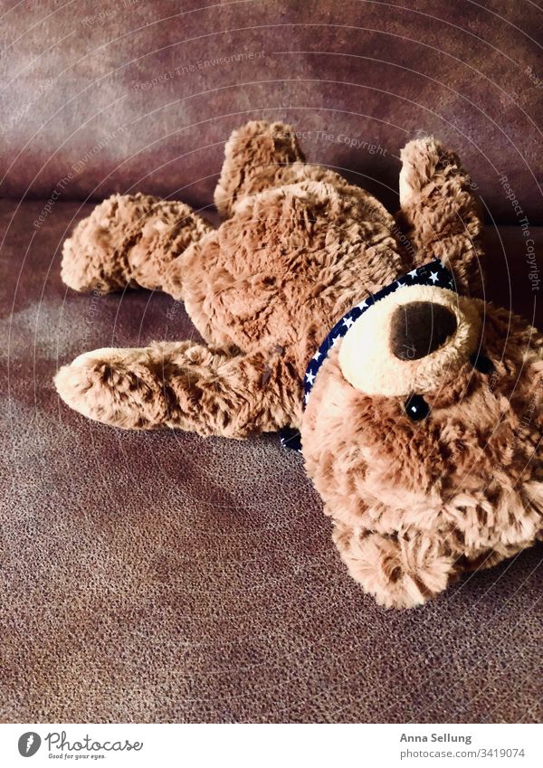 Brauner Teddybär vergessen auf der Couch Spielzeug Spielen Kindheit Kindheitserinnerung Menschenleer mehrfarbig zurückgelassen Einsamkeit Vergangenheit