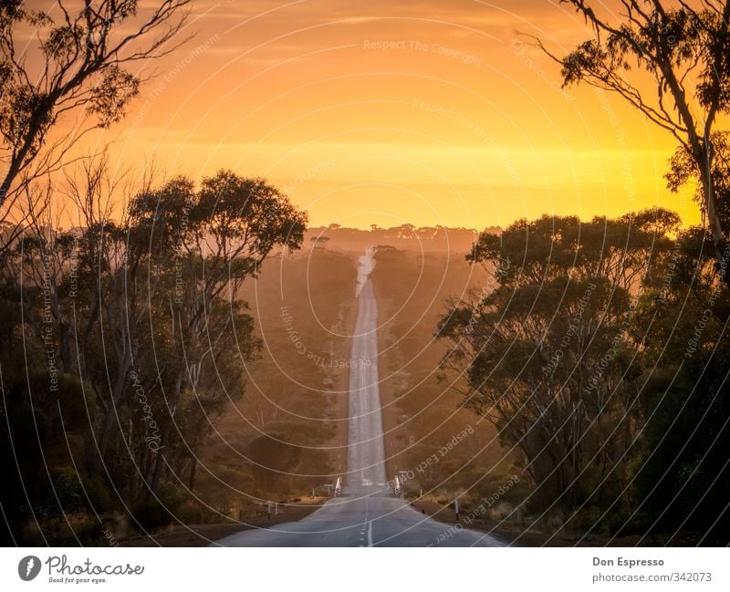 Good Morning Australia Australien Sonnenaufgang Straße Ferne West Australien Roadtrip
