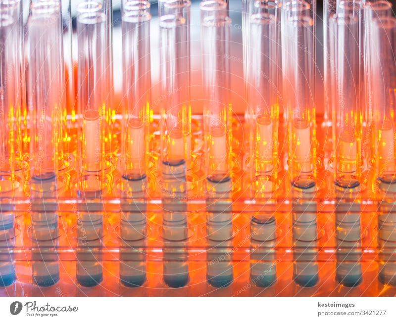 Glasreagenzgläser mit blauer Flüssigkeit auf warmem orangem Hintergrund. medizinisch Experiment Glaswaren Chemie Chemikalie Biotechnologie Biologie Analyse
