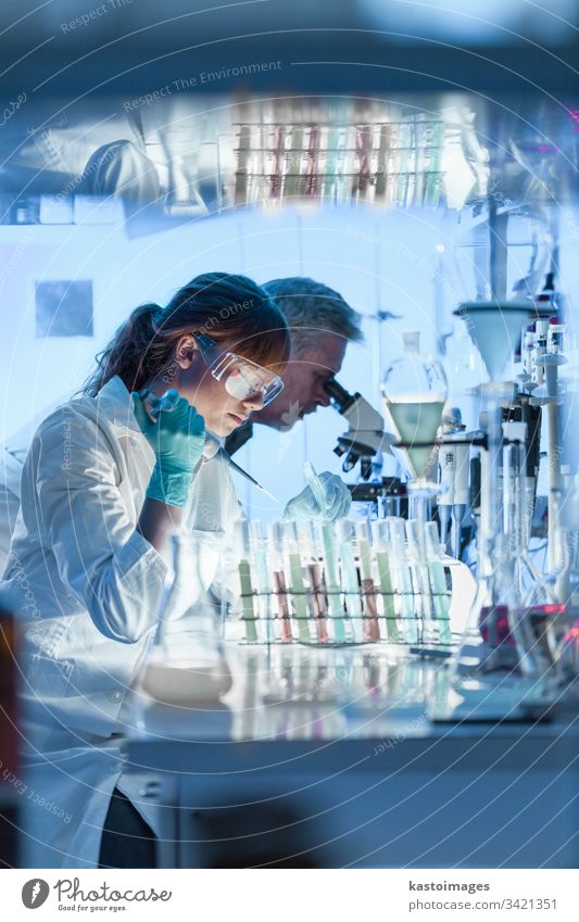 Gesundheitsforscher, die in einem wissenschaftlichen Labor arbeiten. Wissenschaft forschen Wissenschaftler Biologie Gesundheitswesen Mikro Brille lernen Prüfung