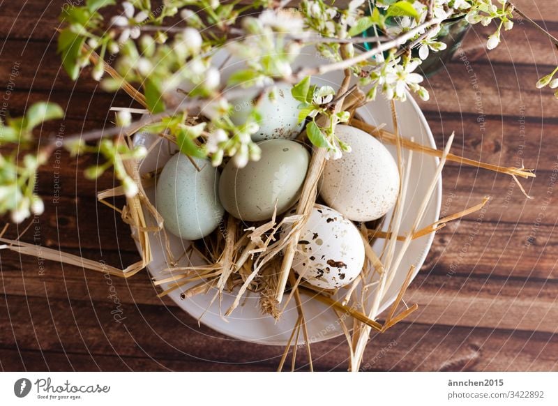 Bald ist Ostern Ei Eier Ernährung Lebensmittel mehrfarbig Innenaufnahme Osterei Menschenleer Tradition Frühling weiß braun Stroh Schale Blüten Blume grün Holz