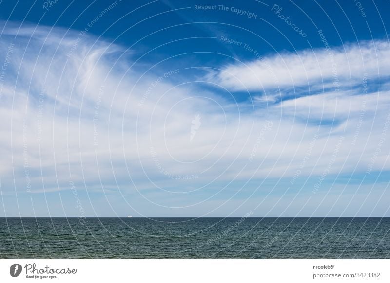Blick auf die Ostsee bei Ahrenshoop Küste Fischland-Darß Ostseeküste Meer Schiff Segelschiff Windjammer Strand Himmel Wolken blau Mecklenburg-Vorpommern