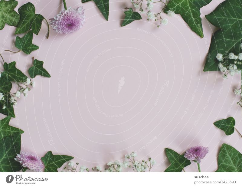 frühlingshafte dekoration auf rosafarbenem hintergrund Pflanze grün Blätter Natur Efeu Blatt Menschenleer Flatlay Innenaufnahme Blume hübsch