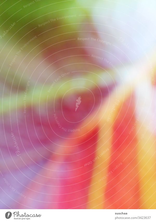 farbspiel auf unscharfem blatt mit blattadern Blatt Laub Natur Unschärfe bunt farbig Nahaufnahme abstrakt Detail eines Blattes menschenleer Blattadern Pflanze