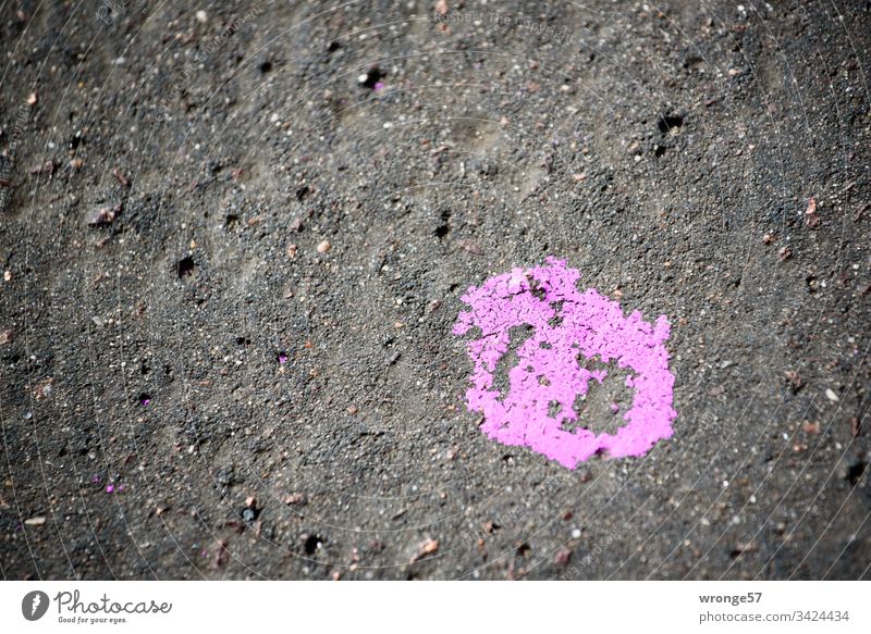 Pinkfarbener Farbklecks auf schwarzen Asphalt Straße Straßenbelag Farbe Farbfleck pink Verkehrswege Menschenleer Außenaufnahme Tag Farbfoto Markierung