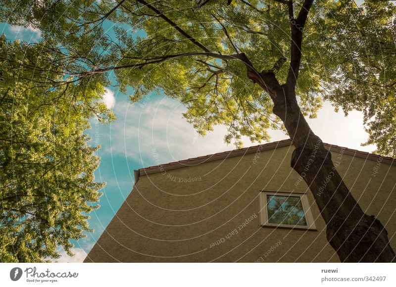 ...mit Blick ins Grüne Häusliches Leben Wohnung Haus Baustelle Immobilienmarkt Umwelt Natur Himmel Wolken Sonne Frühling Sommer Schönes Wetter Pflanze Baum