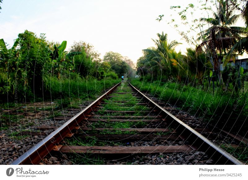 einsame Strecke Gleise Sri Lanka verwildert Eisenbahn Bahn Wildnis
