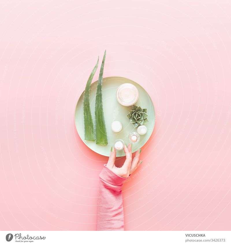 Weibliche Frauen halten moderne feuchtigkeitsspendende Hautpflege-Kosmetikprodukte auf einem Tablett mit frischen Aloe Vera-Blättern auf pastellrosa Hintergrund in der Hand. Ansicht von oben. Naturkosmetik. Modernes Schönheitskonzept. Flach liegend