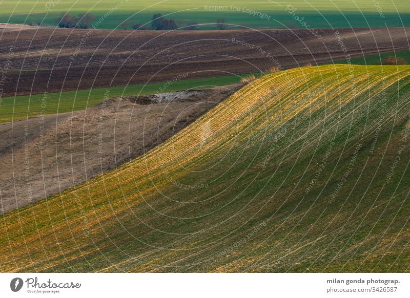 Ländliche Landschaft der Region Turiec in der Nordslowakei. Slowakische Republik ländlich Frühling Ackerbau Natur abstrakt Muster Feld