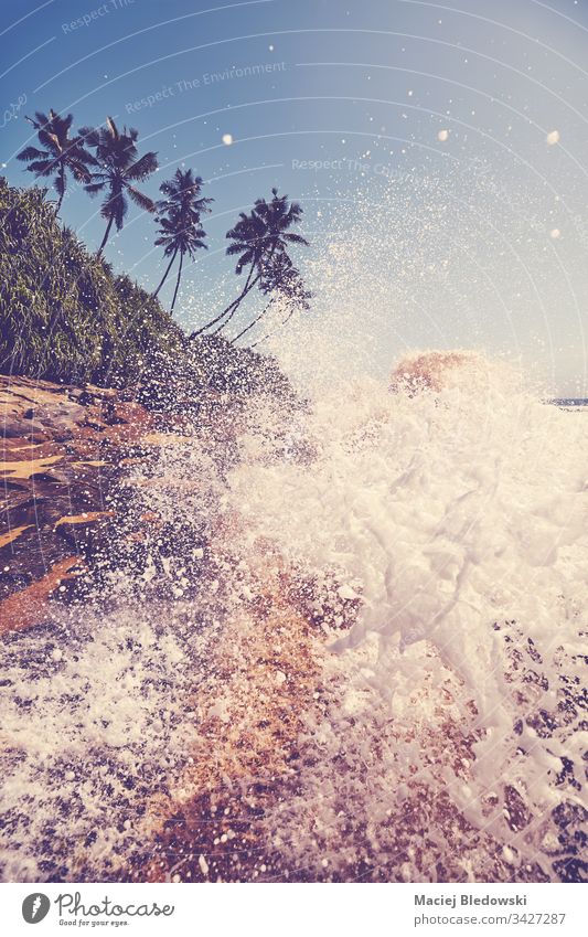 Tropischer Strand mit gegen Felsen schlagender Welle. MEER Sommer Wasser winken platschen Absturz reisen Natur Handfläche Baum Meer retro gefiltert altehrwürdig