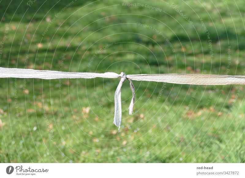 weißes Band mit Knoten vor grüner Wiese als Weidezaun Verbindung einfach Natur Tag Umwelt Außenaufnahme Farbfoto Gras natürlich Menschenleer Zaun Ruhe
