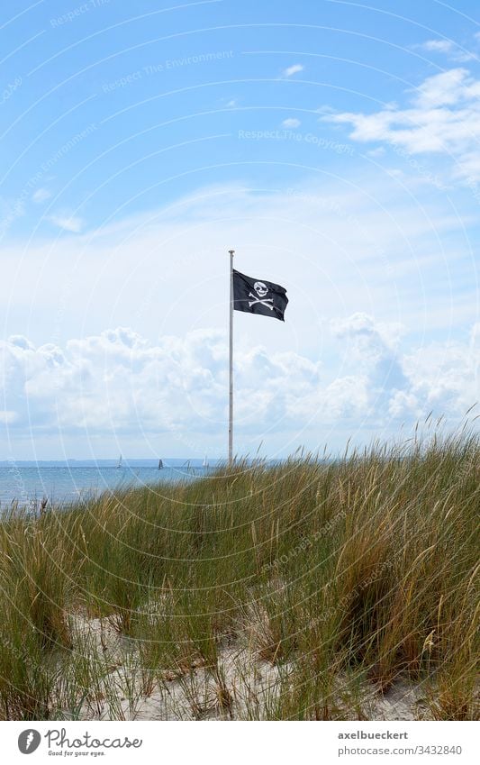 Piratenflagge piratenflagge totenkopfflagge fahne Ostsee Fahnenstange Fahnenmast schwarz Strand Meer sommer wasser Symbol wehen Wind Anarchie Piraterie Himmel