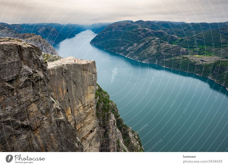 Blick auf den Preikestolen am Lysefjord in Norwegen Fjord Skandinavien Natur Wasser Felsen Küste Steilküste wandern Landschaft Wanderer Norden Europa