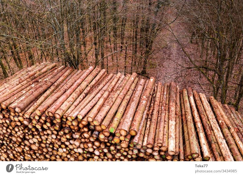 Lagerung von Holzscheiten im Freien von oben Totholz protokolliert Ast hölzern Holzlagerung Wald Baum Bäume Baumstamm Stängel Vorbau Protokollspeicher Textur