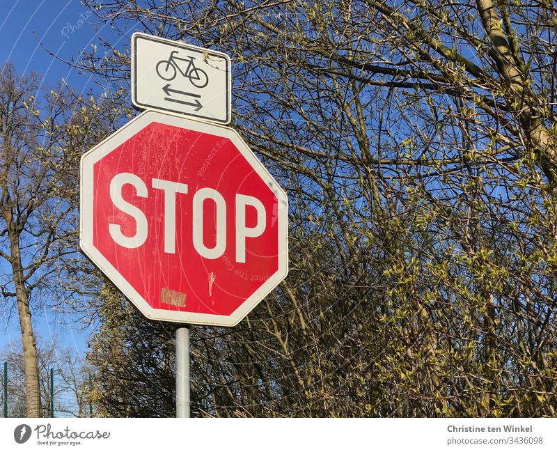 Stoppschild, Radfahrer kreuzen, Frühling Verkehrszeichen Schilder & Markierungen stoppen Schriftzeichen Warnschild Hinweisschild rot Wege & Pfade Zeichen weiß