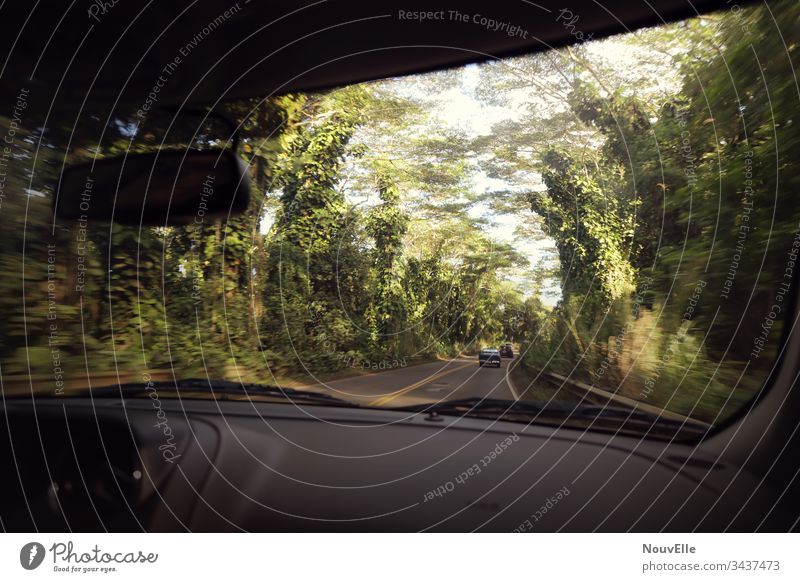 Unterwegs auf Hawaii roadtrip fahren Autofahren Wald Geschwindigkeit schnell USA Kauai