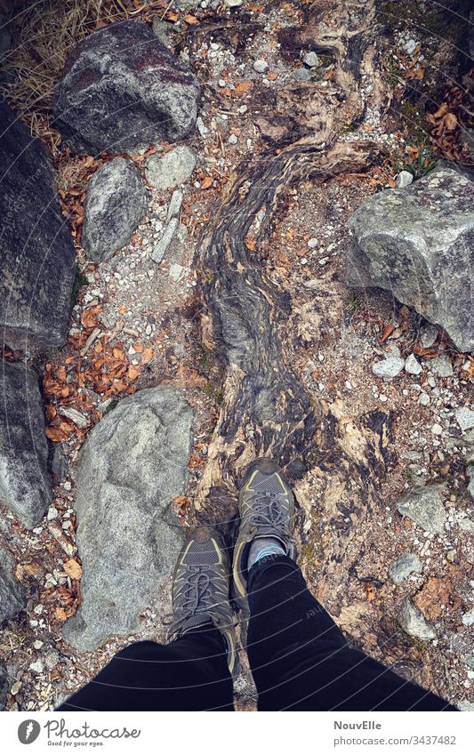 Unterwegs in der Schweiz verzasca Tessin Wurzel Stein wandern laufen Natur draußen Herbst