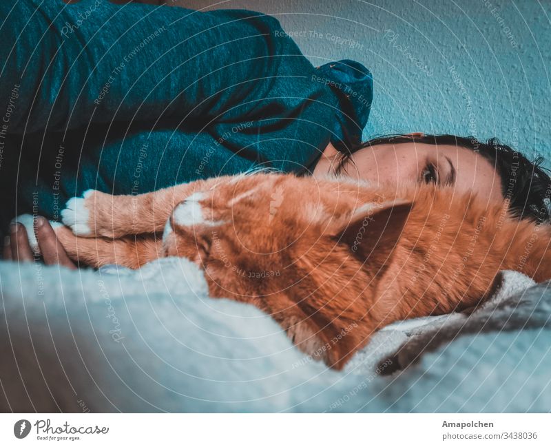 Frau mit Katze Haustier liegen Bett schlafen zuhause zuhause bleiben Kuscheln müde coronavirus Corona-Virus coronakrise Quarantäne Wochentag Liebe trösten