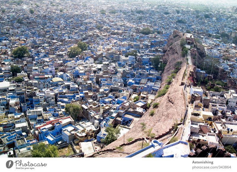 #400 - blue city II Umwelt Wetter Schönes Wetter Baum Hügel Felsen Jodphur Rajasthan Indien Asien Stadt Stadtzentrum überbevölkert Haus Hütte Bauwerk Gebäude