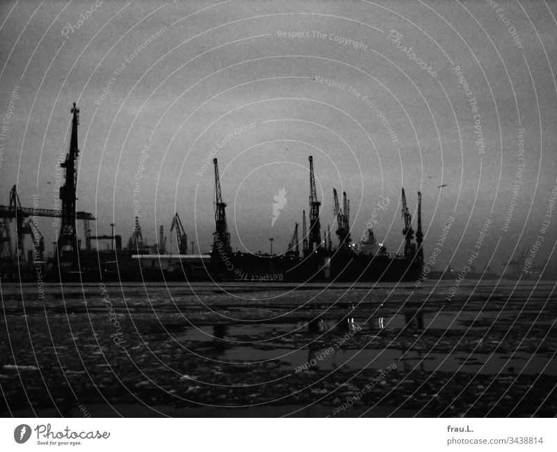 Hafenkräne spiegelten sich im dunklen, eisigen Wasser der Elbe, der Himmel war grau verhangen. Hamburger Hafen Außenaufnahme Menschenleer Kran Hafenstadt Winter