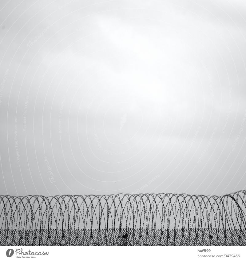 Stacheldrahtzaun Zaun Borte Barriere Menschenleer Maschendrahtzaun Schutz Justizvollzugsanstalt gefährlich Metall Sicherheit gefangen Freiheit Verbote Draht