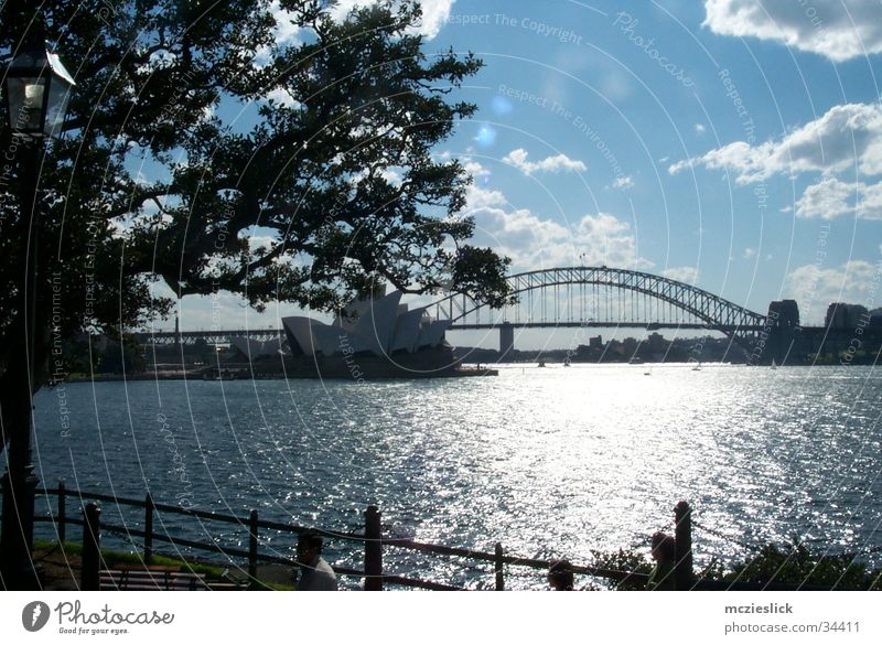 Habour Bridge Sydney Australien Kunst Baum Wolken Brücke Oper opera Skyline Sehenswürdigkeit metrople Wasser sigths Sightseeing bridge water clouds tree