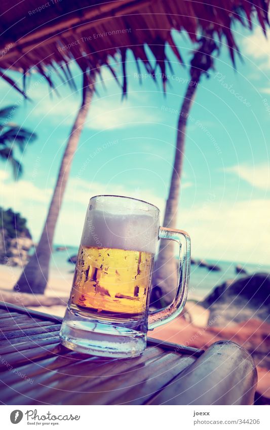 … und es wird noch heißer … Ferne Sommer Sommerurlaub Strand Meer Strandbar Himmel Wolken kalt Wärme blau braun gelb weiß Erholung Freizeit & Hobby Bier Palme