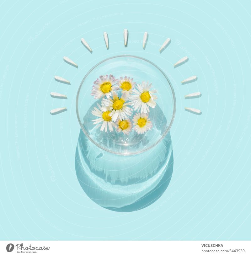 Wasserschüssel mit Gänseblümchen im Sonnenlicht auf türkisblauem Hintergrund. Ansicht von oben Schalen & Schüsseln Margeriten Draufsicht Medizin Therapie Glas