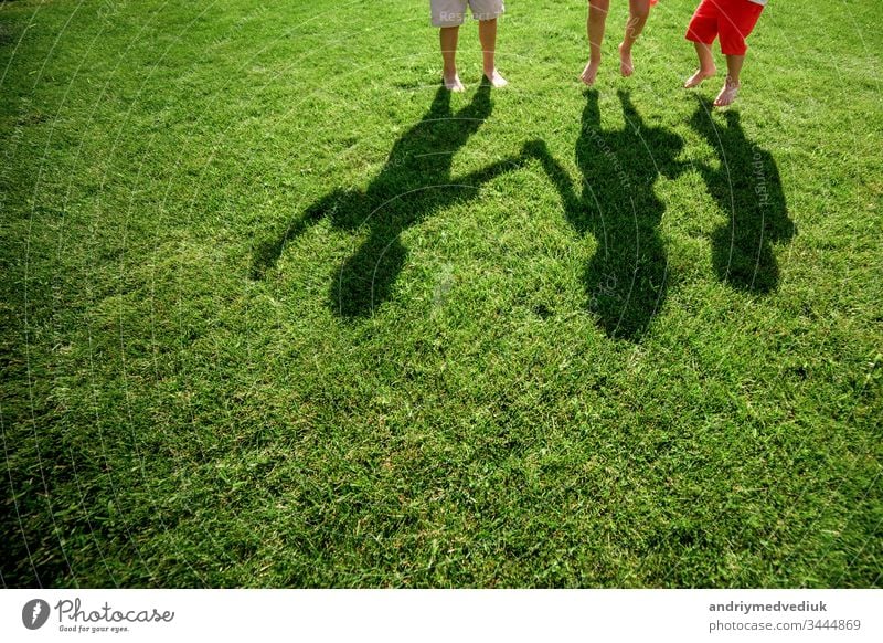 Kinder mit ihren Schatten auf dem Gras. Silhouetten von drei Personen, die mit hochgestreckten Händen stehen wachsend Hintergrund weiß Natur Menschen Spiegel