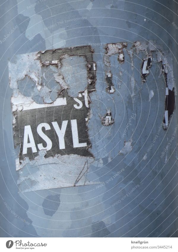 Detailaufnahme eines kaputten Aufklebers „ASYL“ Asyl Kommunizieren Wort Buchstaben Typographie Schriftzeichen Lateinisches Alphabet Großbuchstabe Letter Sprache
