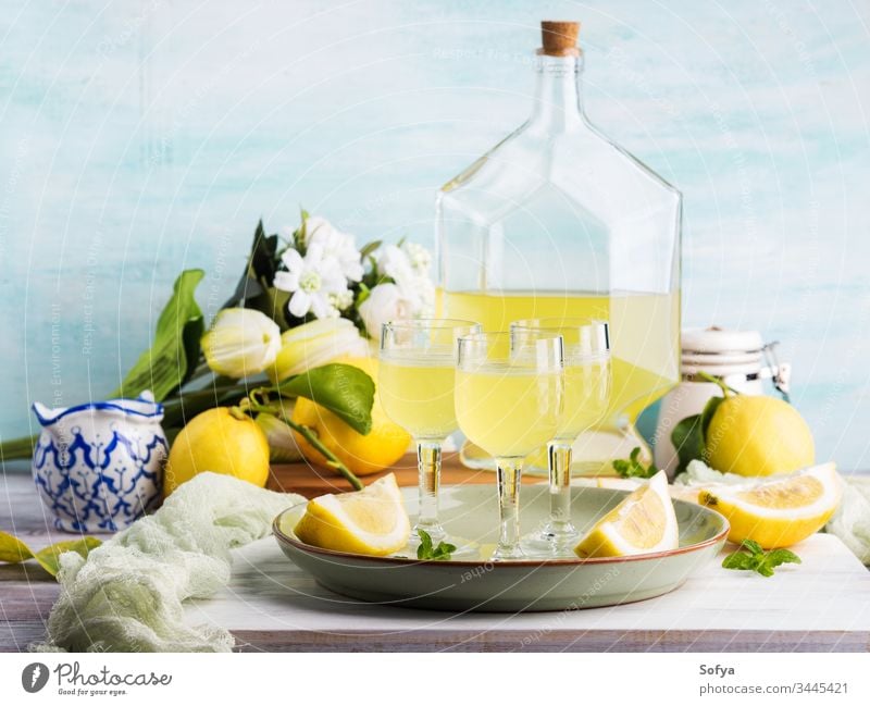 Hausgemachtes Limoncello in Stielgläsern limoncello trinken Glas Italienisch Zitrone Alkohol Getränk Cocktail kalt Lebensmittel Aperitif verdauungsfördernd