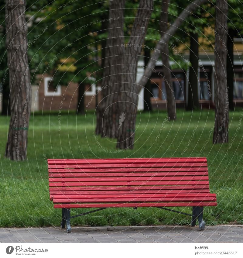 rote Bank im Park vor grünem Rasen Sitzbank Sitzgelegenheit Pause ruhig Erholung Menschenleer Einsamkeit Wiese Schatten Ferien & Urlaub & Reisen Tag sitzen Gras