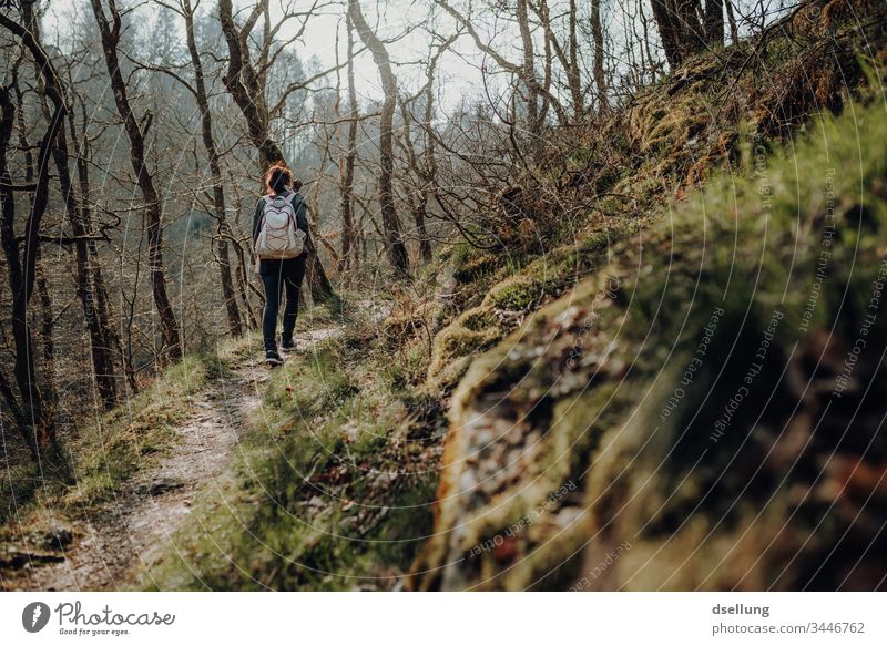 Junge Frau geht wandern im Wald Wellness Expedition Tag Ferne Camping harmonisch gehen Schatten allein Wohlgefühl Ziel Pfad Zufriedenheit Erholungsgebiet
